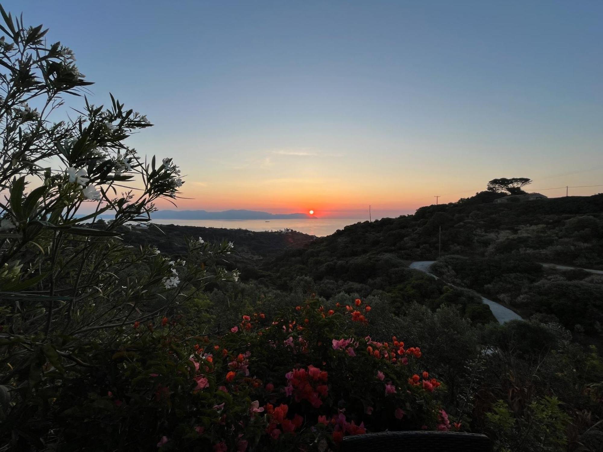 Villa Walnut Tree Farm Agia Anastasia Esterno foto
