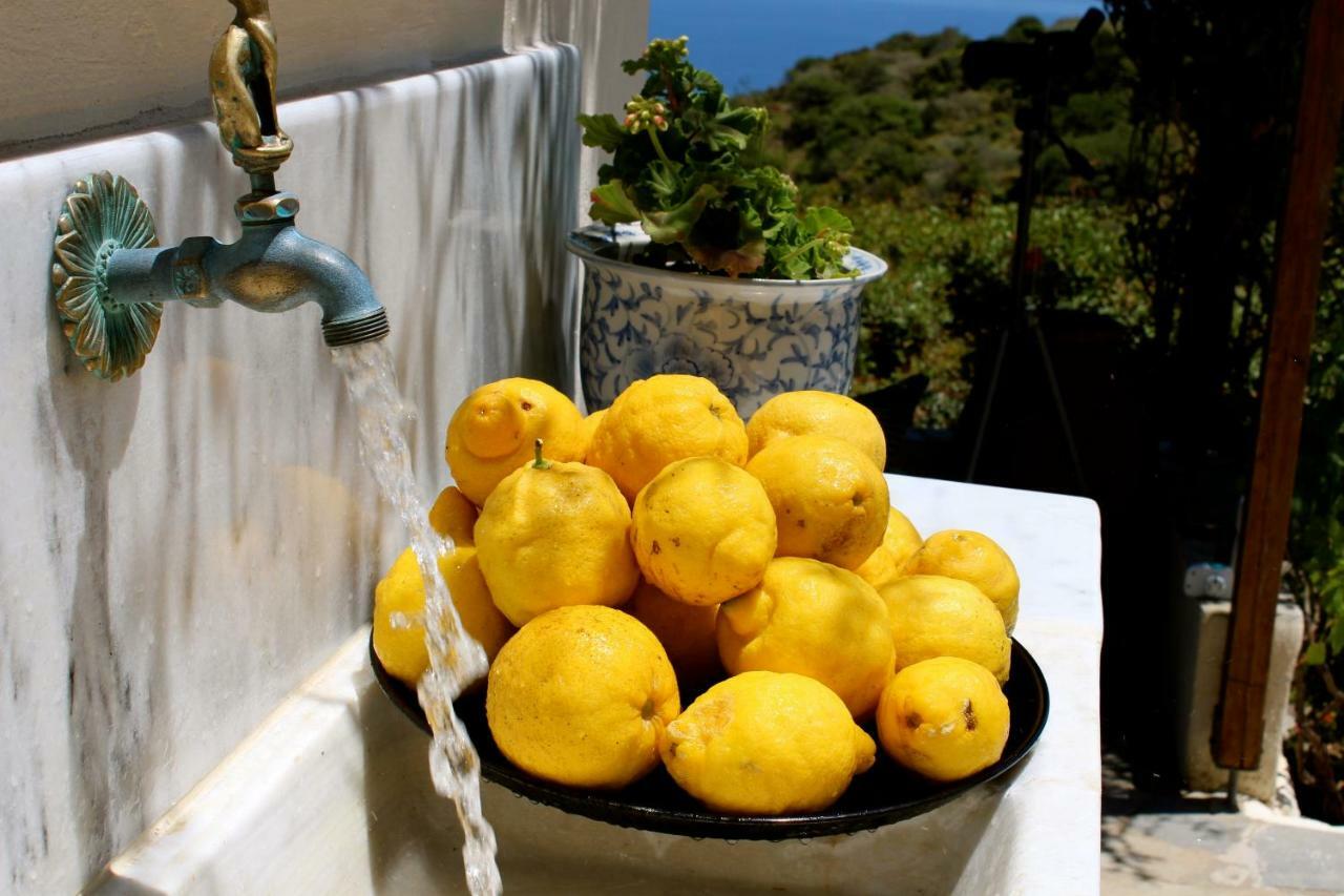Villa Walnut Tree Farm Agia Anastasia Esterno foto