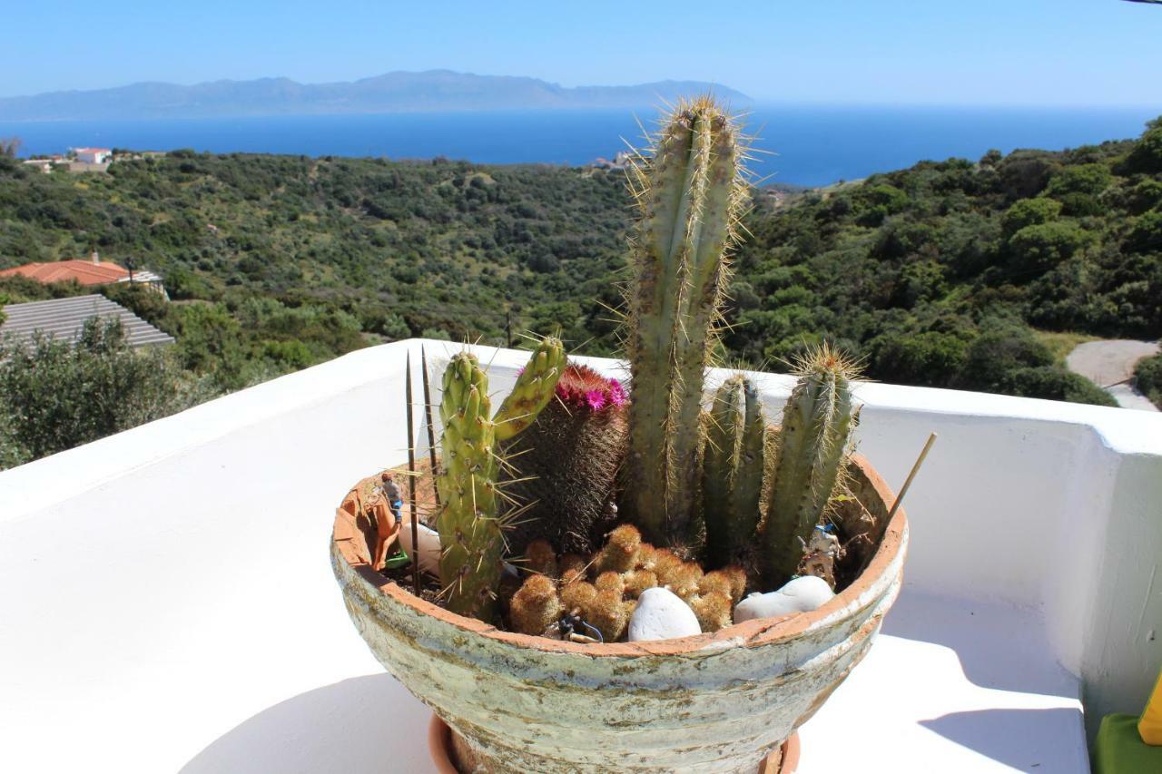 Villa Walnut Tree Farm Agia Anastasia Esterno foto